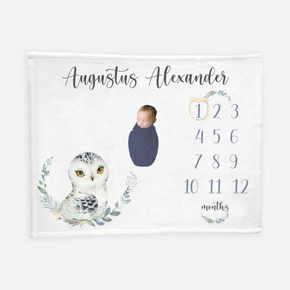Snowy Owl Milestone Blanket Owl Monthly Baby Blanket Snowy Etsy