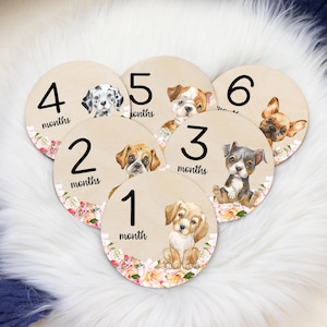 Girl Puppy Milestone Cards, Dog Milestone Markers, Wood Milestone Cards, Baby Milestones, Photo Prop, Dog Puppy Nursery Theme