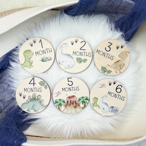 May include: Six wooden baby milestone discs with dinosaur illustrations and numbers 1 through 6. Each disc has the word "month" or "months" printed on it.