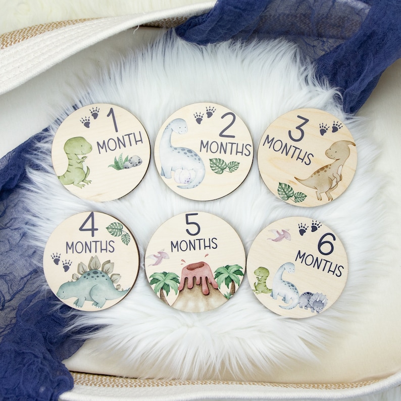 May include: Six wooden baby milestone discs with dinosaur illustrations and numbers 1 through 6. Each disc has the word "month" or "months" printed on it.