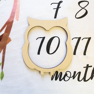 Owl Milestone Marker, Milestone Blanket Marker, Baltic Birch Wood Milestone Marker, Baby Shower Gift, Photo Prop, Month Marker