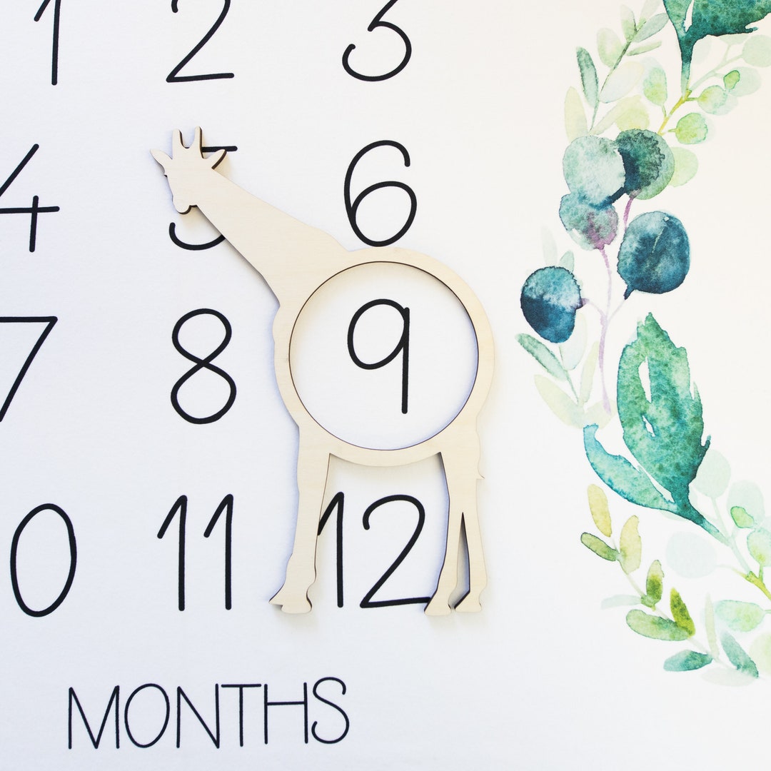 Baby Milestone Photo Prop Markers - Floral Wreath & Rectangle Frame Set Of 2