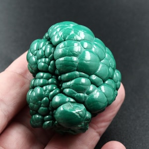 Può includere: Una gemma di malachite lucidata, che mostra una ricca tonalità verde intenso. La superficie del minerale ha una consistenza a bolle distintiva, con formazioni arrotondate. La pietra è tenuta in mano, su uno sfondo scuro.