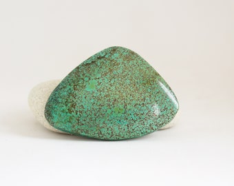 May include: A green turquoise cabochon with brown matrix. The stone is irregularly shaped and has a smooth, polished surface.