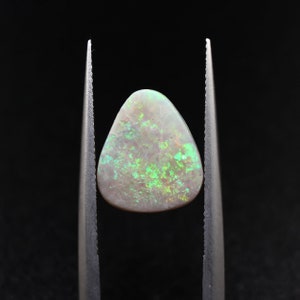 Può includere: Una gemma di opale a forma di pera, tenuta da una pinzetta su sfondo nero. L'opale mostra un colore di base bianco latte con vivaci lampi di verde e altri colori. La pietra è lucidata e liscia.