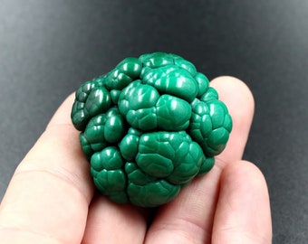 Malachite brain Botryoidal growth mineral specimen 2.9x3.9cm 69.89gr Natural crystal cluster