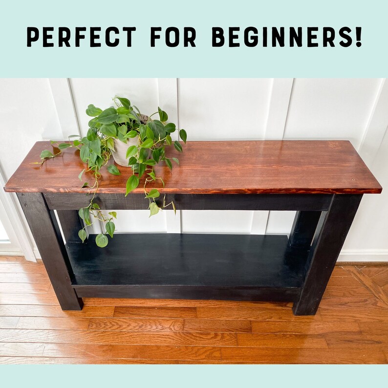 May include: A black and brown wooden console table with a single shelf. The table has a dark wood stain and a light wood top. A potted plant with green leaves is on the table.