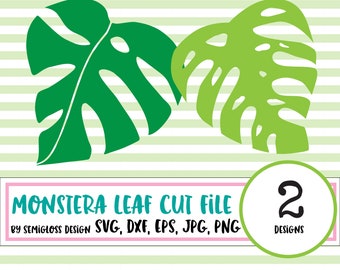 Monstera Leaf SVG Tropical Leaf Clip Art