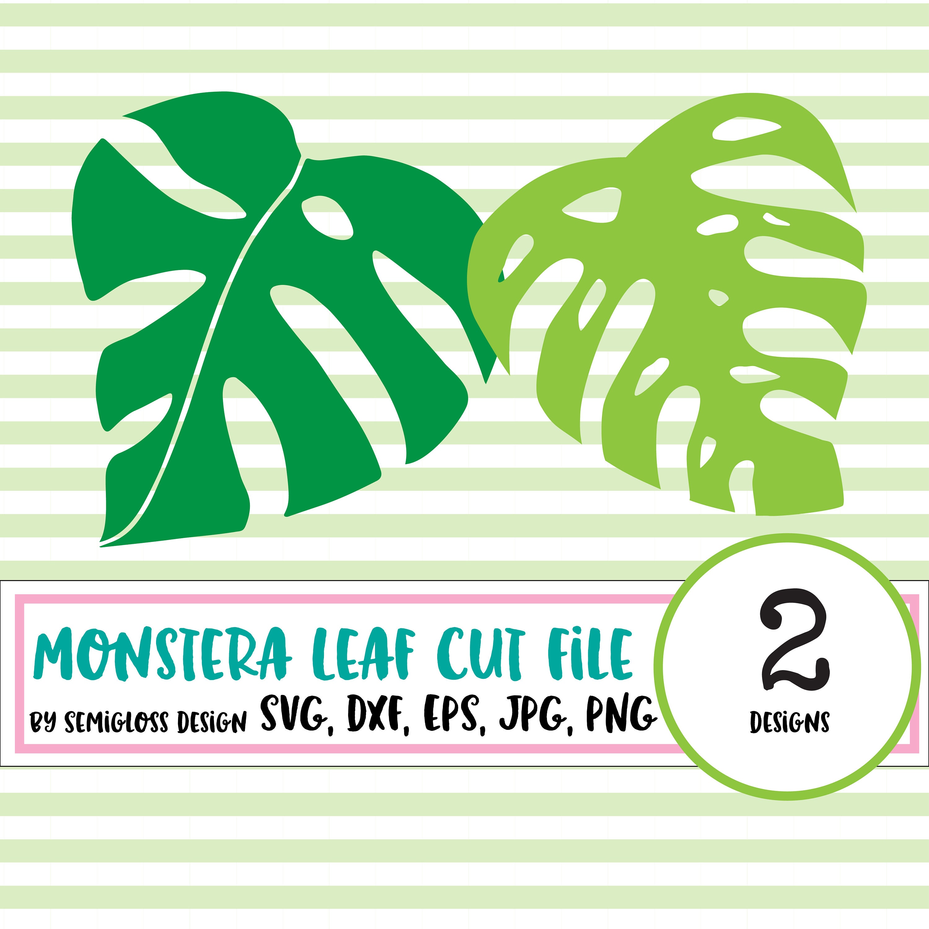 Download Monstera Leaf Svg Tropical Leaf Clip Art Etsy