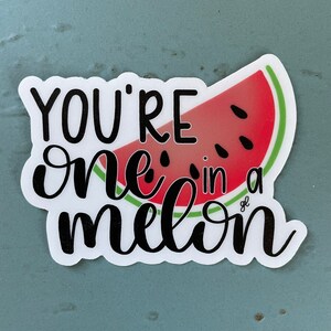 One in a Melon Sticker | Geschenk für beste Freundin oder Freundin Sticker | Laptop, Hydroflask, Notizblock Vinyl Aufkleber