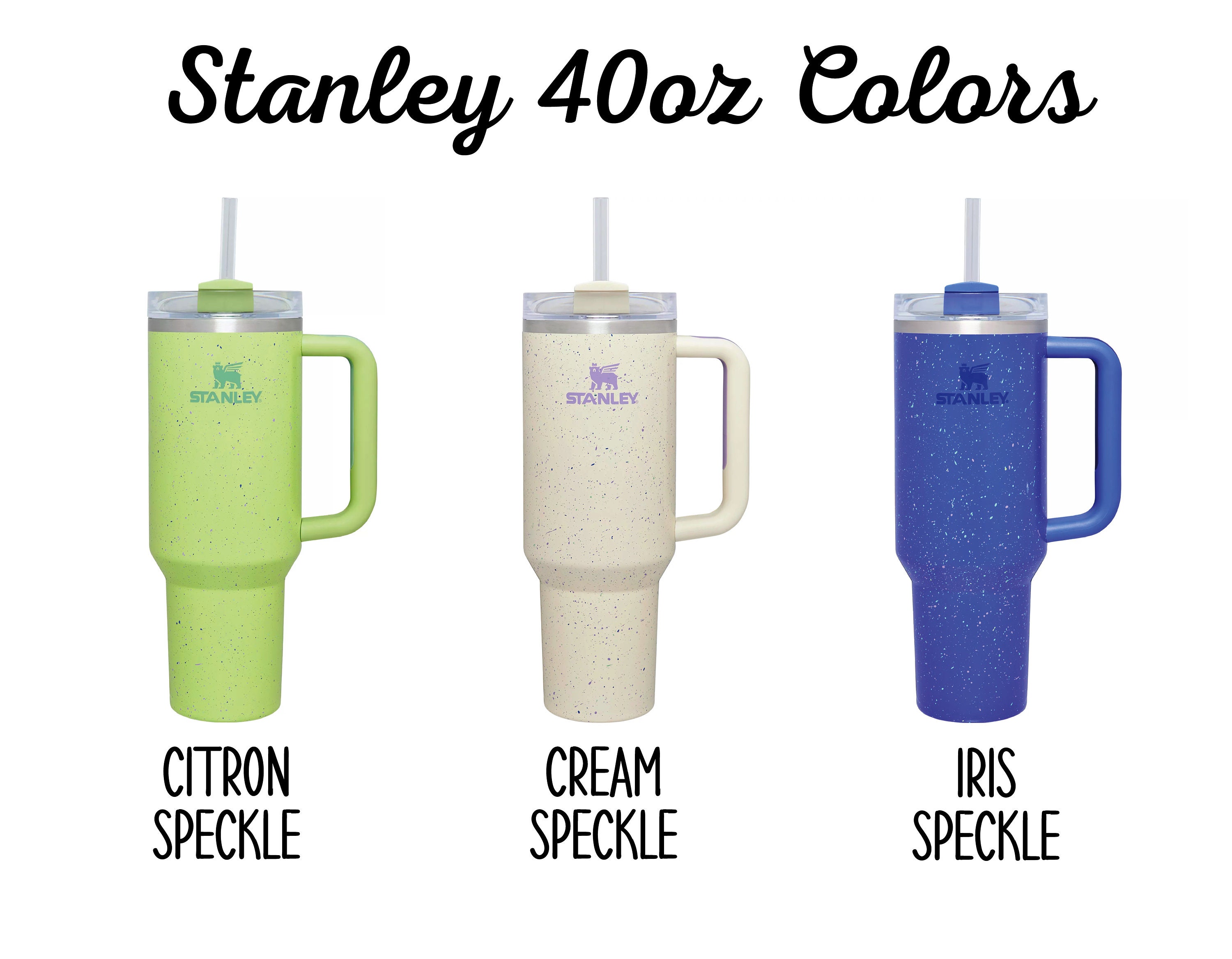 STANLEY 40 oz The Quencher H2.0 FlowState™ Tumbler - IRIS, Tillys, Salesforce Commerce Cloud