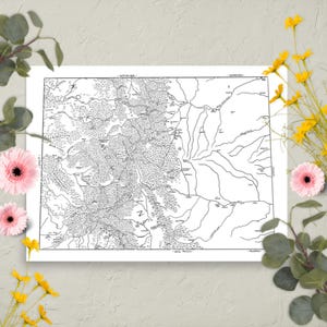 May include: A black and white map print featuring a detailed illustration of a mountainous region with rivers, forests, and various markings. The map is framed in white and decorated with pink and yellow flowers and green foliage.
