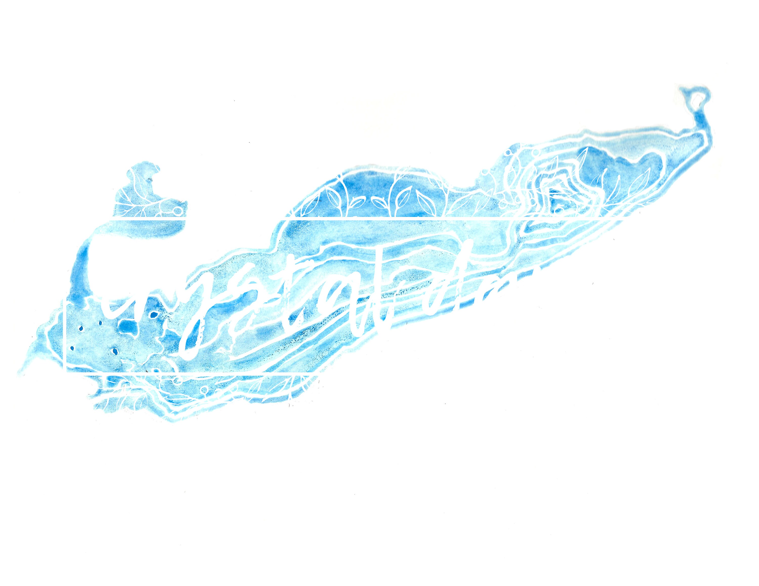 Watercolor Map of Lake Erie Wall Art Decor - Etsy