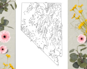 Mapa de Nevada dibujado a mano / Divertido mapa ilustrado del estado / Arte mural en papel mate / Varios tamaños