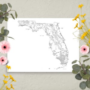 May include: A black and white map of Florida, USA, displayed on a white rectangular canvas. The map details the state's outline, roads, and geographical features. The canvas is decorated with pink and yellow flowers and green foliage.