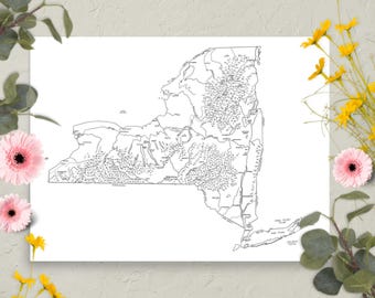 Mapa de Nueva York dibujado a mano / Divertido mapa ilustrado del estado / Arte mural en papel mate / Varios tamaños