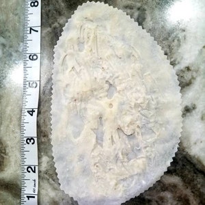 Scrape/ burn wound prosthetic