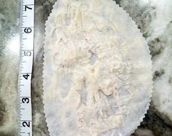 Gratter/brûler la prothèse de plaie