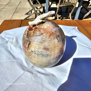 Peut inclure: Un récipient rond en céramique avec un couvercle. Le récipient est décoré d'un glaçage marbré brun, blanc et rouge. Le couvercle est fait d'un matériau clair et a la forme d'une branche. Le récipient est posé sur un tissu blanc.