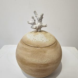 Peut inclure: Un pot en céramique beige et rond avec un couvercle, présentant une surface texturée et un élément sculptural blanc en forme de branche sur le dessus. Le pot a un aspect rustique et artisanal, adapté au stockage décoratif.