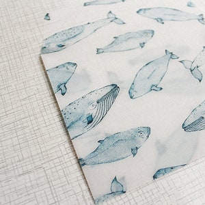 Busta Blue Whale Trasparente