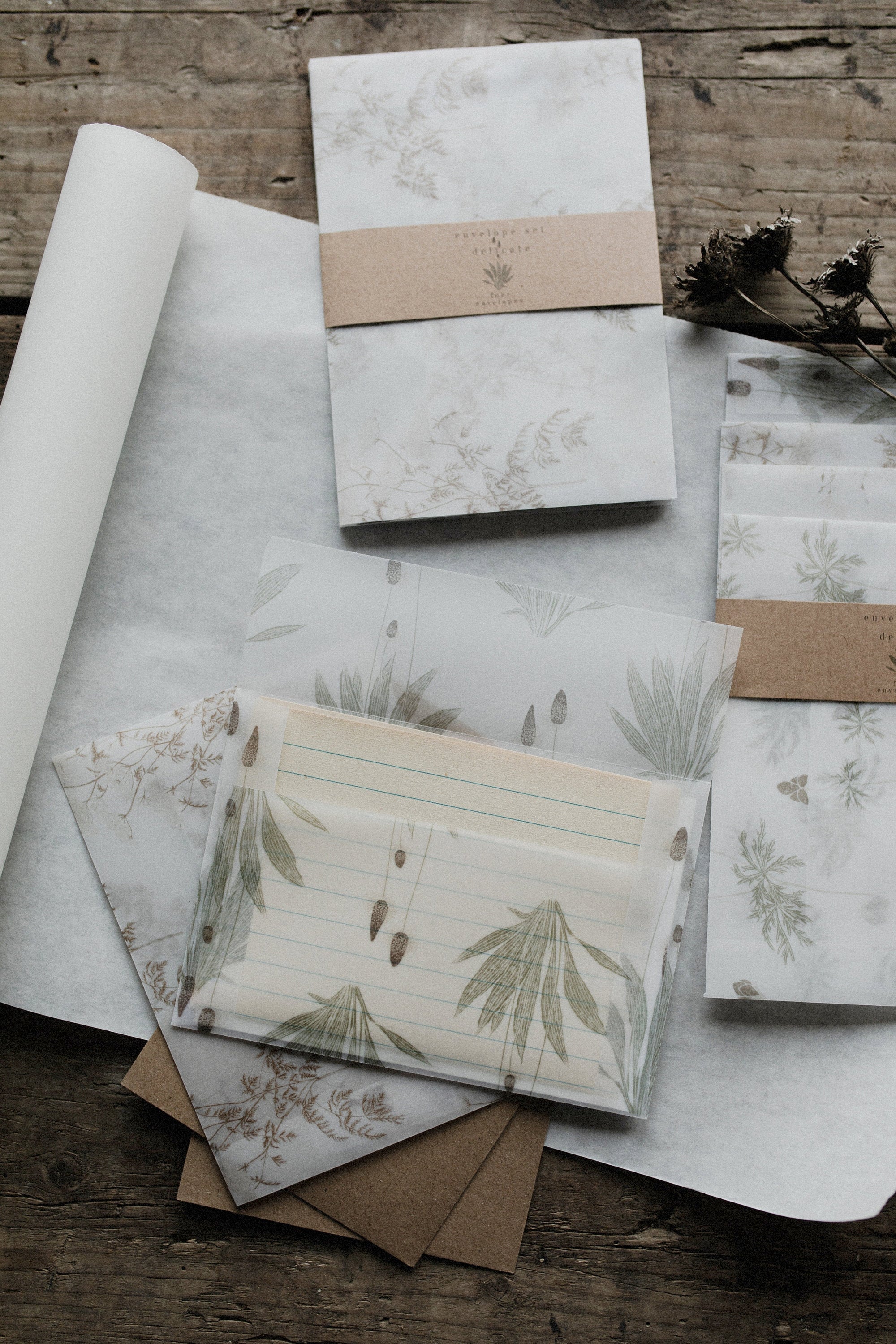 Envelope Set : Botanical / Delicate Plants