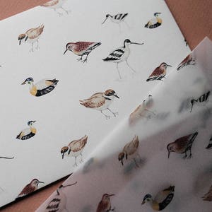 Briefpapier Set Vogels, Schrijven Set Natuur, Letter Set, Vogels Illustraties, Cadeau Idee afbeelding 2