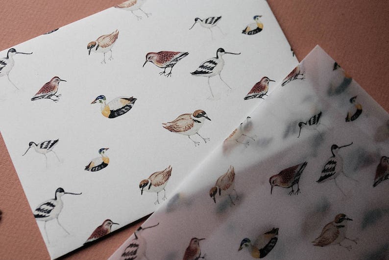 Briefpapier Set Vogels, Schrijven Set Natuur, Letter Set, Vogels Illustraties, Cadeau Idee afbeelding 2