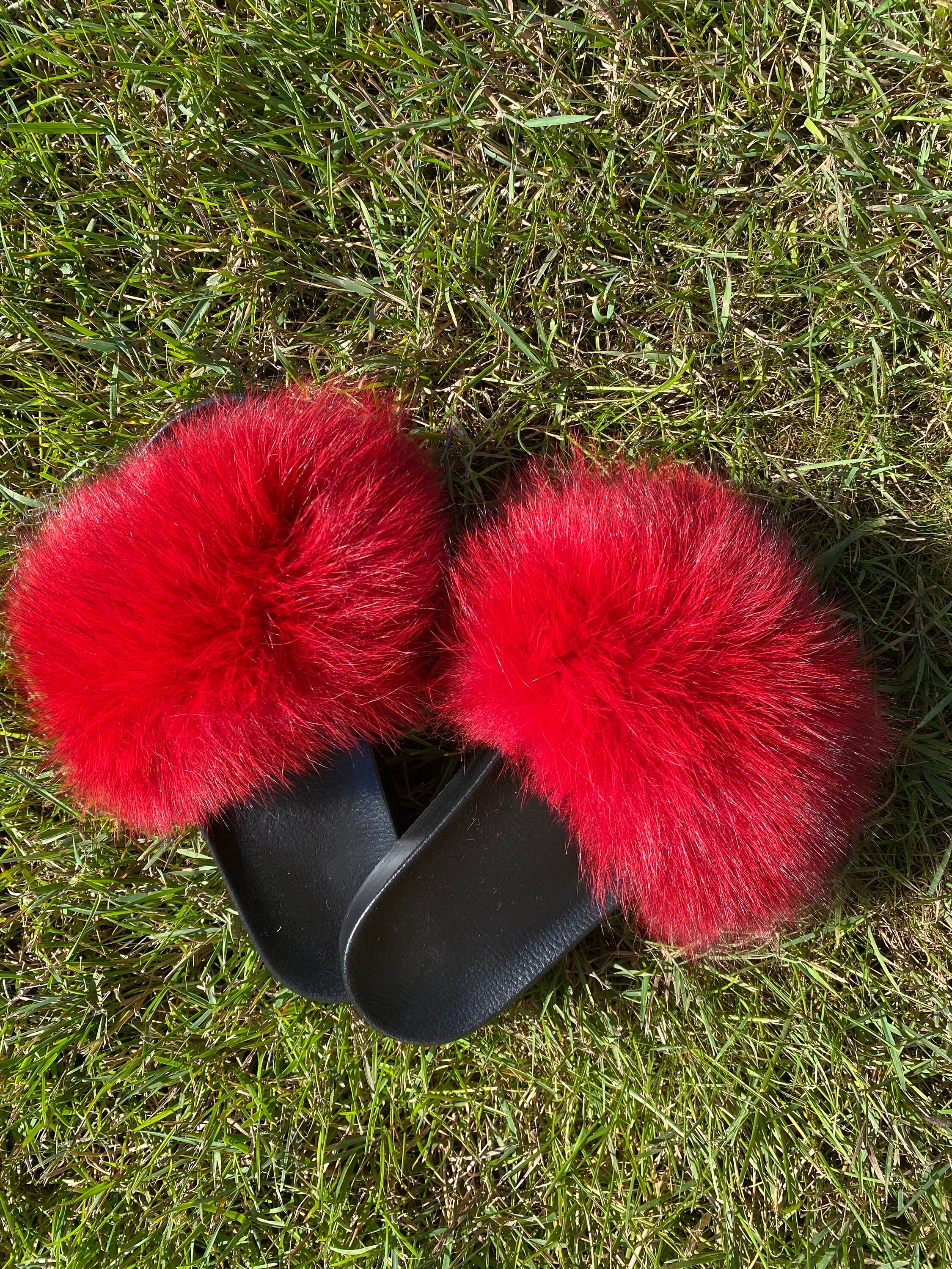 red fur slides