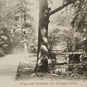 BERLIN GERMANY Weg zum Denkmarl der Königin Luise Garden Path Deutschland Ungeteilte Rückseite Pre 1907 Vintage Postkarte Postkarte