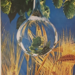 1962 OLYMPIA BEER Brewing Company Tumwater Washington Barley Grains Hops Water Drop Alcohol Beverage  Vintage Print Ad