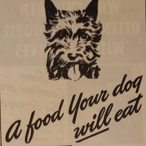1945 IDEAL DOG FOOD Pet Canine Nutrition Terrier Vintage Print Ad