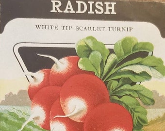 RADISH White Tip Scarlet Turnip Card Seed Company Fredonia NY Original Vintage Seed Packet Art Advertising