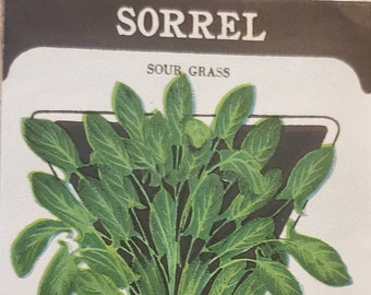 SORREL Sour Grass Card Seed Company Fredonia NY Original Vintage Seed Packet Art Advertising