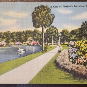 FLORIDA Beautiful Park Garden Flowers Palm Tree 1950s Vintage Linen Post Card