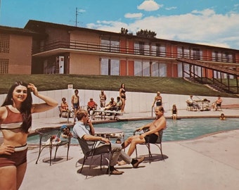 COLORADO SPRINGS Palmer House Motel Hotel Swimming Pool 1970s Vintage Post Card