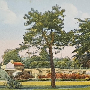 ROUEN FRANCIA Vista del jardín Jardin des Plantes, parte posterior dividida Tarjeta postal francesa antigua