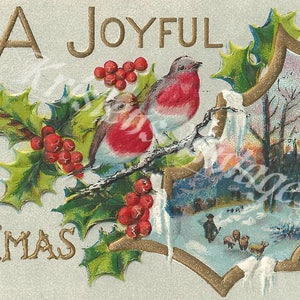 A Joyful Xmas - Kerstmis - Vintage Post Card - Hulst - Vogels - DIGITAL Post Card - Digital Download - Printable Post Card - 1912