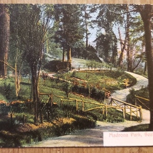 Madrona Park SEATTLE WA Washington vintage Carte postale