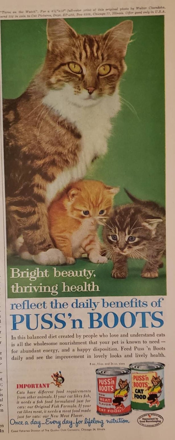 Sacchetti Carta - Certificati FSC® - Stampa ''giornale'', Fornitura Packaging, Gastronomie E - Foto 2