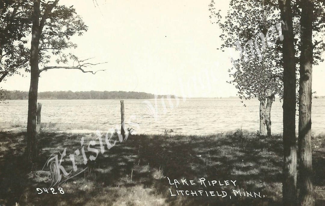 Lake Ripley Litchfield Minnesota Street Scene Vintage Etsy