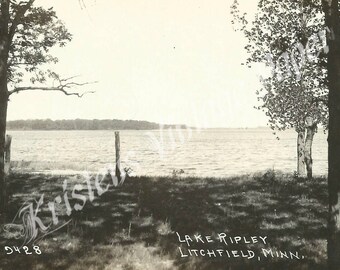 Lake Ripley - Litchfield Minnesota - Street Scene - Vintage Postcard - DIGITAL DOWNLOAD - Digital Post Card - Printable - Crafting - Photo