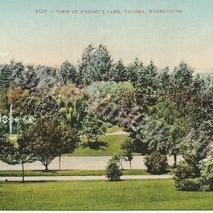 Vista no parque de Wright - Tacoma WA - Washington - Cartão postal vintage - Cartão postal digital - Download - Cartão postal imprimível - Tacoma histórico
