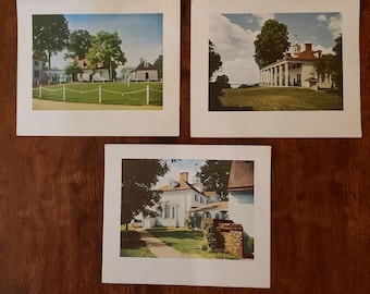 Lote de 3 MOUNT VERNON VIRGINIA George Washington Home Grandes postales vintage
