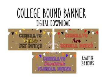 Custom Digital Banner (mit handgemalter Option)