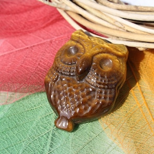 Könnte beinhalten: Eine geschnitzte Eulenfigur in Braun- und Goldtönen liegt auf einem bunten Blatt. Die Eule hat detaillierte Merkmale, darunter große Augen und strukturierte Federn. Der Hintergrund umfasst ein rotes, grünes und orangefarbenes Blatt.