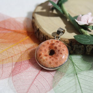 Colgante en rosquillas FÓSILES DE CORAL, forma pi, piedra natural semipreciosa