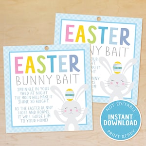 Paashaas Aas Tags, Afdrukbare Pasen Favor Tag, Kids Easter Basket Tags, Klaslokaal Pasen Gunst, School, Kids Easter Activiteit, Eierenjacht