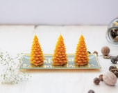 Tree Beeswax candle, natural candle, candle of 100 beeswax, free shipping
