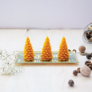 Tree Beeswax candle, natural candle, candle of 100% beeswax, free shipping